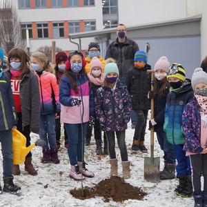 Klasse 3a pflanzt einen Apfelbaum